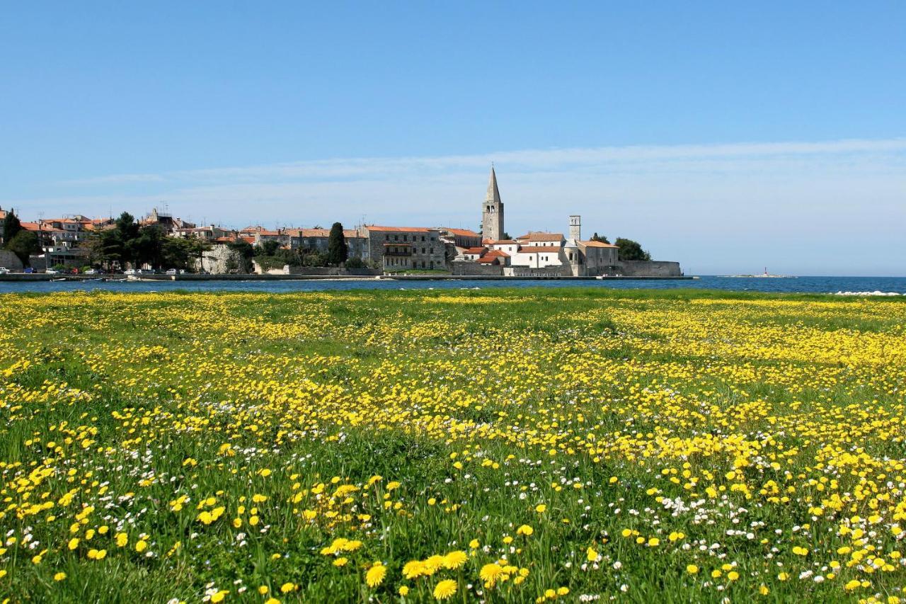 Villa Vita In Porec - Haus Fuer 6-8 Personen Kaštelir Εξωτερικό φωτογραφία